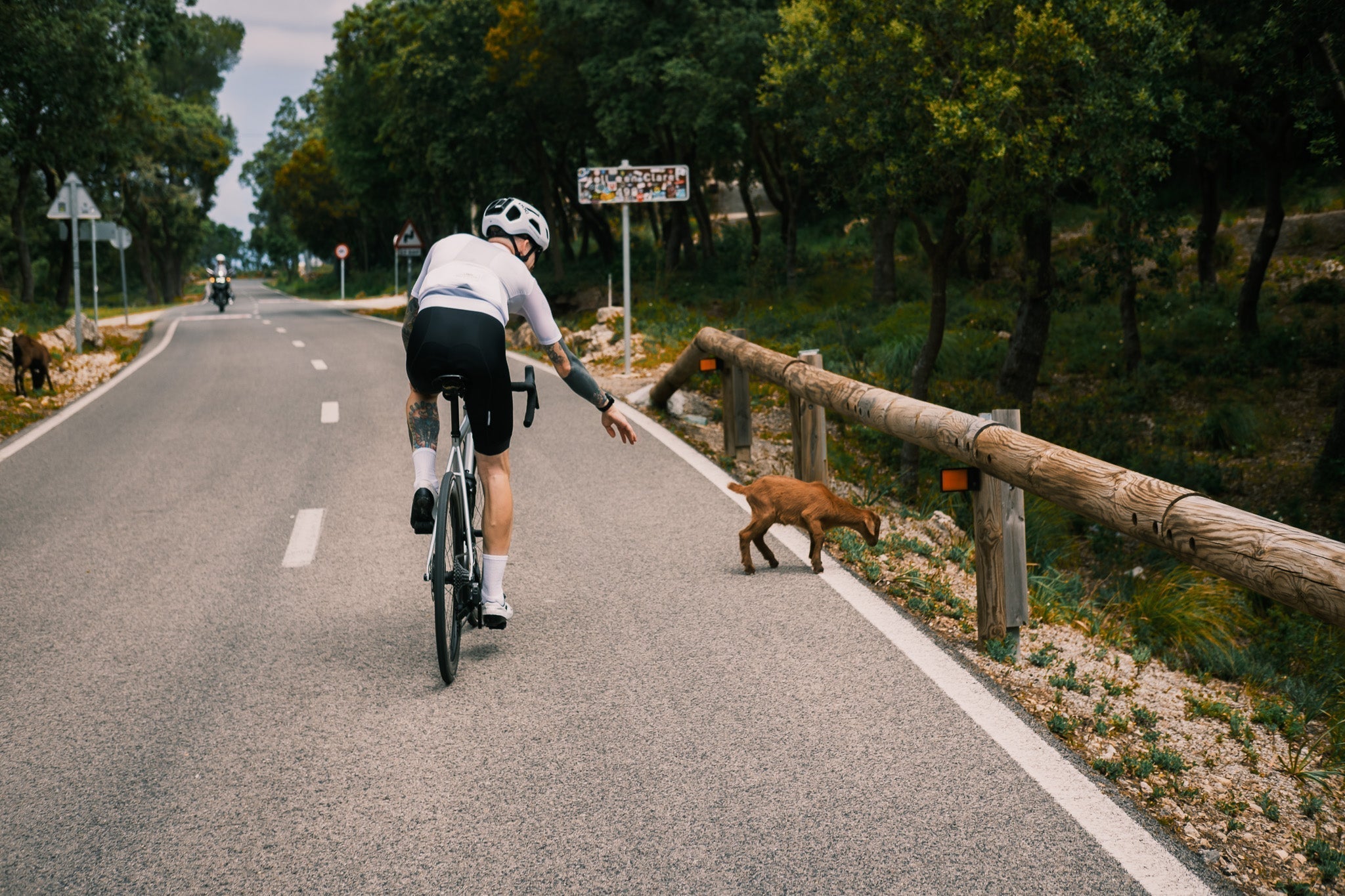 What Makes a Great Men’s Cycling Jersey? A Simple Guide - Label Collective