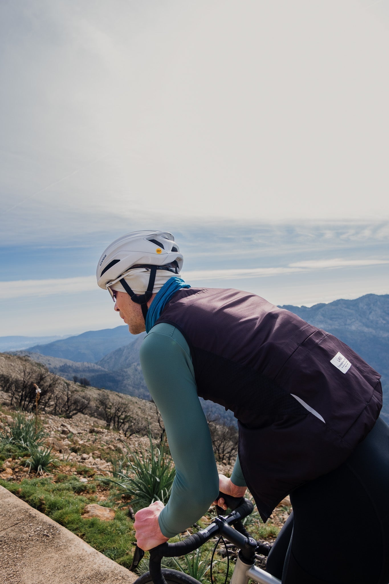 Dalibors Story - Label Collective